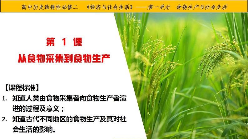 2021-2022学年高中历史统编版(2019)选择性必修二第1课 从食物采集到食物生产课件04