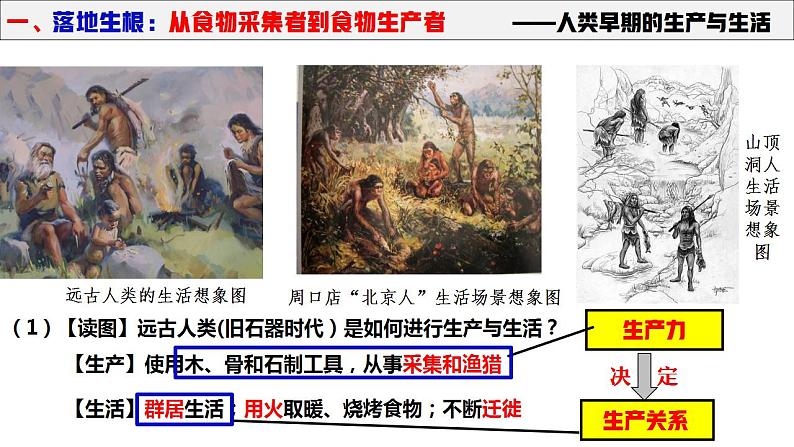 2021-2022学年高中历史统编版(2019)选择性必修二第1课 从食物采集到食物生产课件08