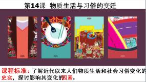 人教版 (新课标)必修2 经济史14 物质生活与习俗的变迁教学ppt课件
