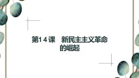 人教版 (新课标)必修1 政治史第14课 新民主主义革命的崛起教课内容课件ppt