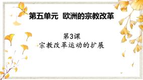 人教版 (新课标)选修1 历史上重大改革回眸第五单元 欧洲的宗教改革3 宗教改革运动的扩展图片课件ppt