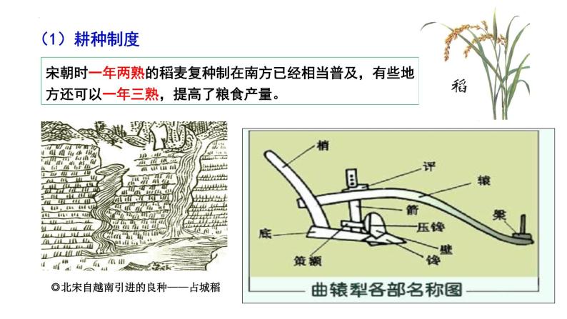 第11课辽宋夏金元的经济与社会课件2022-2023学年统编版高中历史必修中外历史纲要上册 (5)05