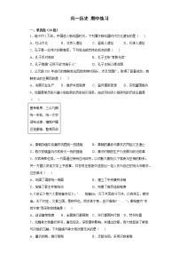 河南省开封市通许县第一高级中学2022-2023学年高一上学期期中综合复习历史试题