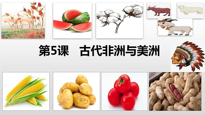 第5課 古代非洲與美洲 課件第1頁