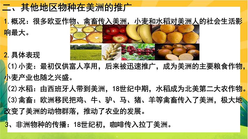 第一单元-第2课  新航路开辟后的食物物种交流(课件PPT)07