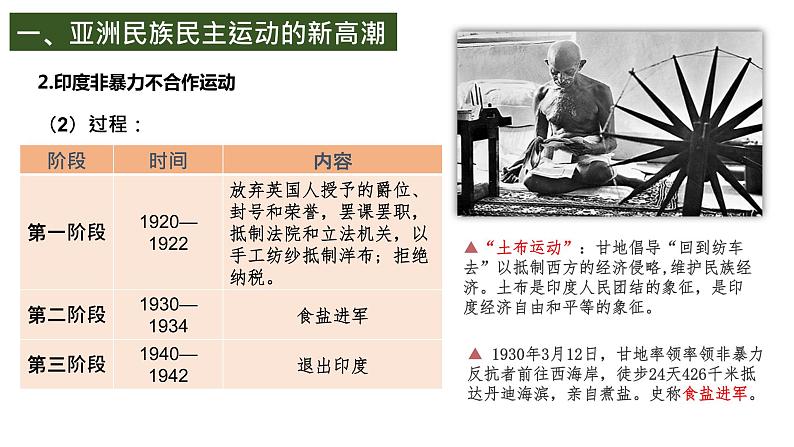 第16课亚非拉民族民主运动的高涨课件--2021-2022学年统编版(2019)高中历史必修中外历史纲要下册(PPT)08