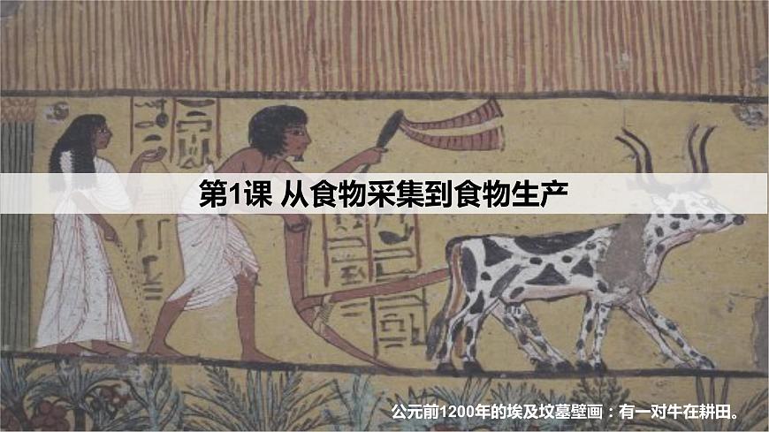第1課  從食物采集到食物生產(chǎn)（教學(xué)課件）高二歷史同步備課系列（選擇性必修2經(jīng)濟(jì)與社會(huì)生活）第4頁