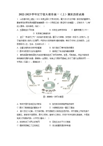 2022-2023学年辽宁省大连市高一（上）期末历史试卷(含答案解析)