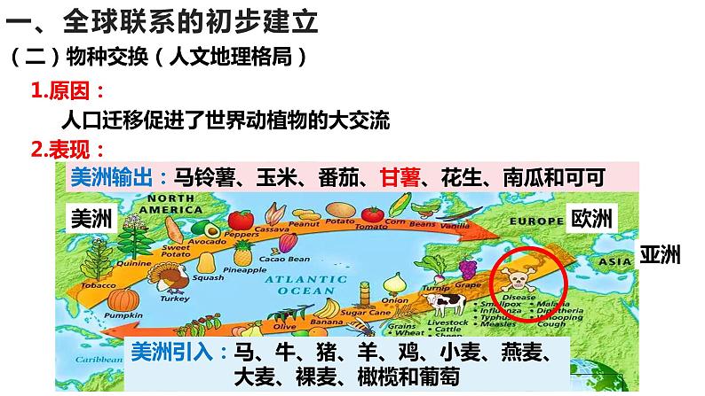 第7课 全球联系的初步建立与世界格局的演变课件PPT第5页