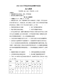 海南省乐东思源实验高级中学2022-2023学年高二下学期4月期中考试历史试题