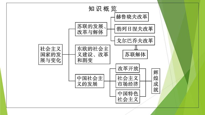 第20课 社会主义国家的发展与变化课件PPT第5页