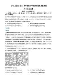 安徽省合肥市庐江县2022-2023学年高二历史下学期期末考试试题（Word版附解析）