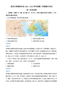 湖北省武汉市常青联合体2022-2023学年高一历史下学期期末考试试题（Word版附解析）