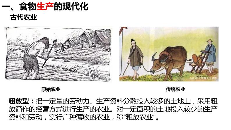 高中统编历史新教材选择性必修2《经济与社会生活》课件第3课第3页