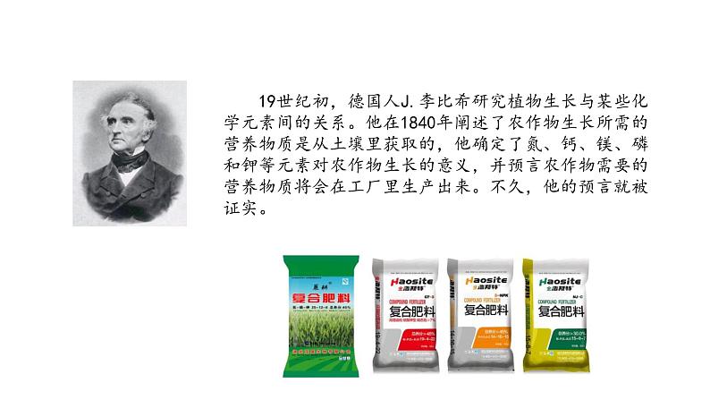 高中统编历史新教材选择性必修2《经济与社会生活》课件第3课第7页