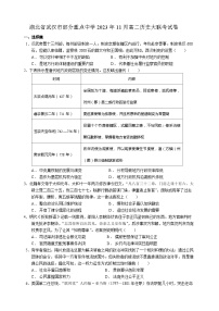 湖北省武汉市部分重点中学2023-2024学年高二上学期11月大联考历史试卷