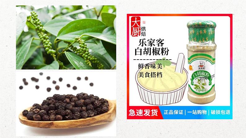 第6课 全球航路的开辟 课件第3页