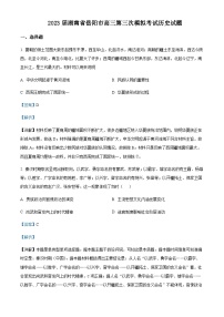 2023届湖南省岳阳市高三三模历史试题含解析