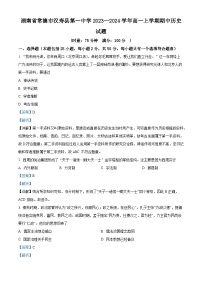 湖南省常德市汉寿县第一中学2023-2024学年高一上学期期中考试历史试题（Word版附解析）