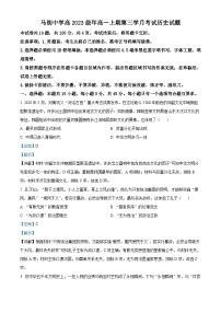 四川省合江县马街中学2023-2024学年高一上学期第三学月考试历史试题（Word版附解析）