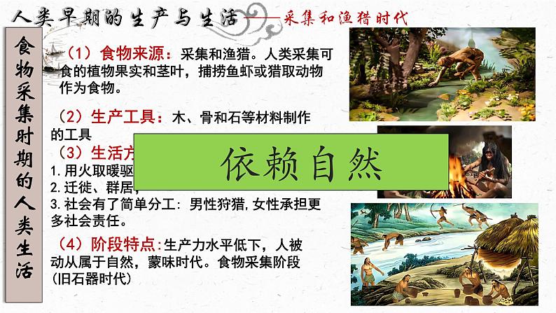 第1课_从食物采集到食物生产教学课件第5页