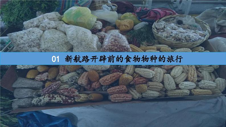 第2课 新航路开辟后的食物物种交流教学课件第5页