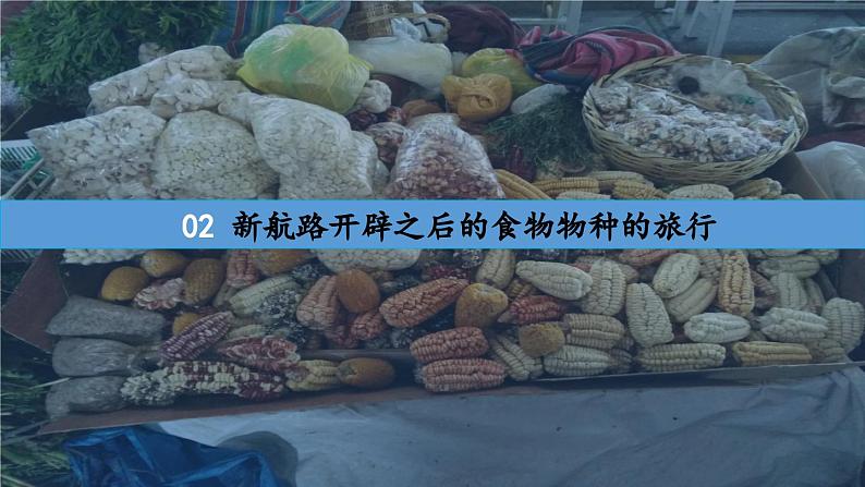 第2课 新航路开辟后的食物物种交流教学课件第7页