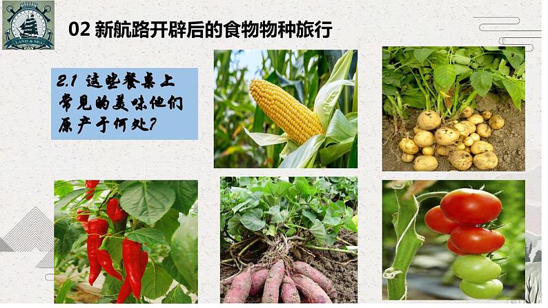 第2课 新航路开辟后的食物物种交流教学课件第8页