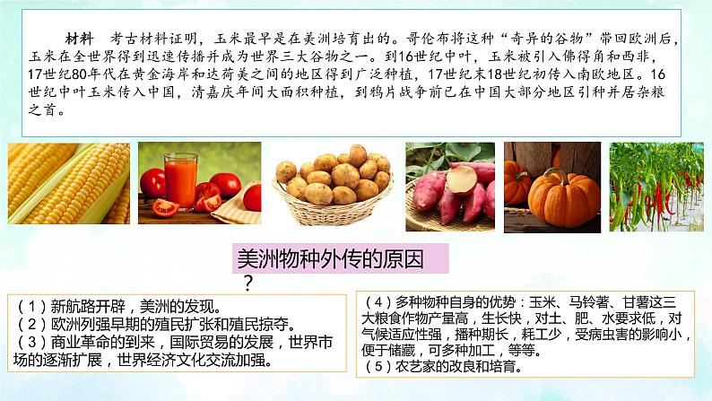 第2课 新航路开辟后的食物物种交流教学课件第4页