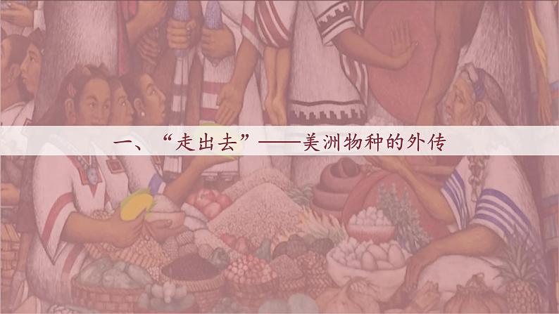 第2课 新航路开辟后的食物物种交流课件第5页