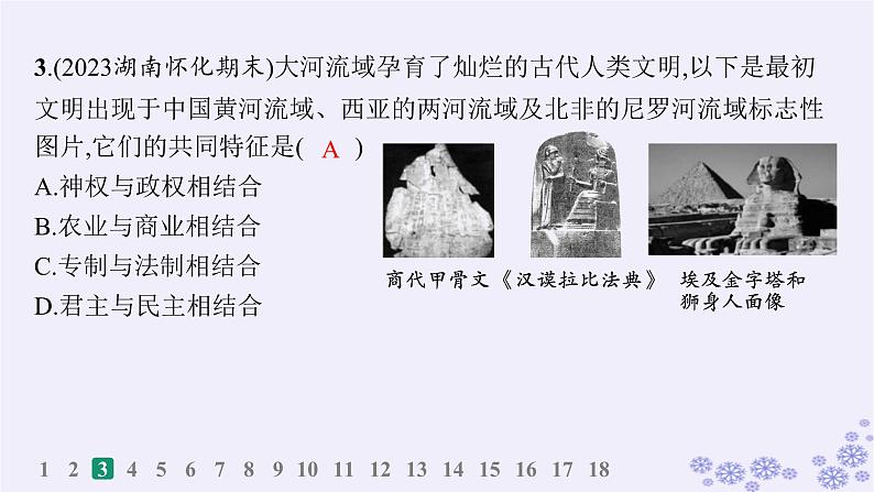 备战2025届高考历史一轮总复习第9单元古代文明的产生与发展及中古时期的世界课时练第26讲古代文明的产生与发展课件第6页