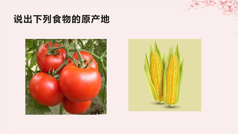 第一单元食物生产与社会生活第2课新航路开辟后的食物物种交流课件(部编版选择性必修2)第2页