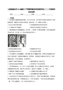 山西省臨汾市2024屆高三下學(xué)期考前適應(yīng)性訓(xùn)練考試（二）文綜高中歷史試卷(含答案)