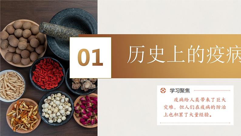 2023-2024学年高二历史同步精品课堂-第14课 历史上的疫病与医学成就(精品课件)(选择性必修2:经济与社会生活)第7页