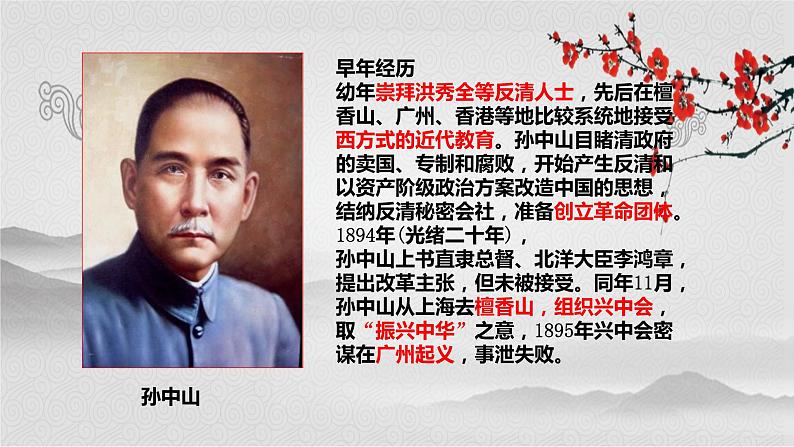 辛亥革命课件3第5页