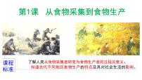 歷史人教統(tǒng)編版第1課 從食物采集到食物生產(chǎn)教學(xué)課件ppt