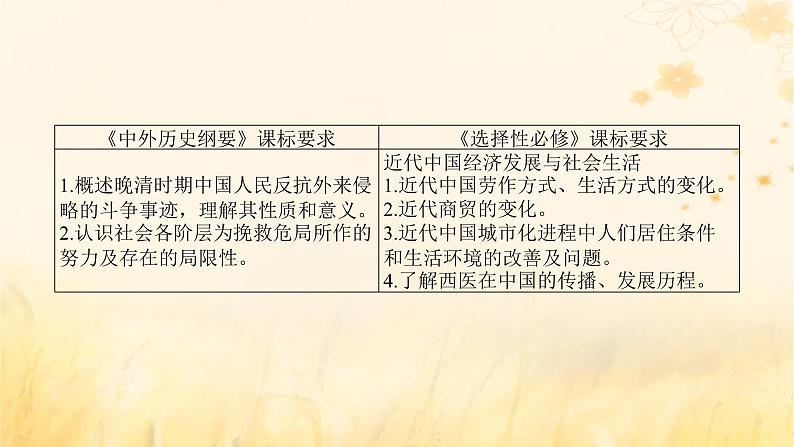 创新版2025版高考历史全程一轮复习 第14讲国家出路的探索与挽救民族危亡的斗争课件02