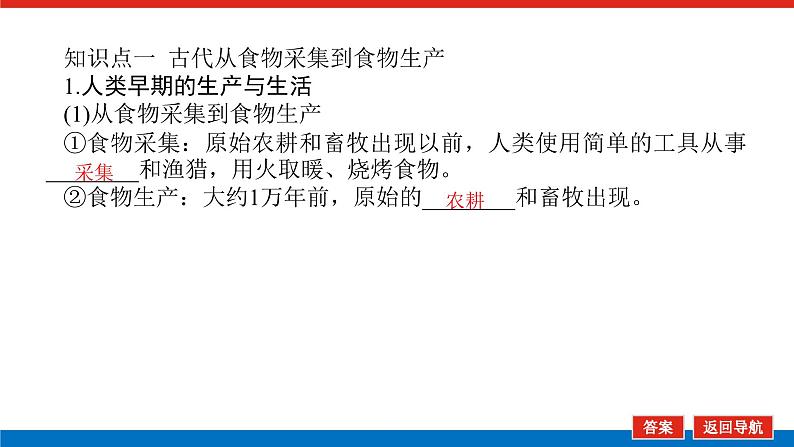 2025届高中历史全程复习构想课件课题50世界食物生产与社会生活05