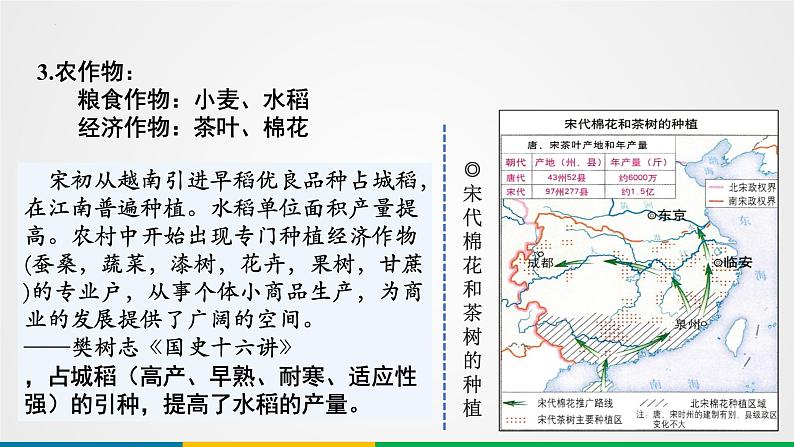 第8讲 辽宋夏金元的经济、社会与文化 课件--2025届高三统编版(2019)必修中外历史纲要上一轮复习 (1)第6页