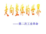 人民版高中历史必修二 5.4走向整体的世界课件