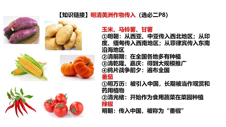 2025届高考历史一轮复习 第10讲 明至清中叶的经济与文化 课件05