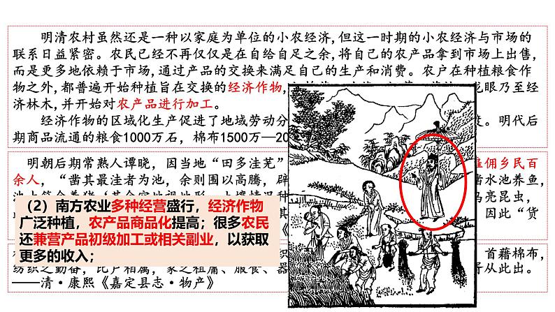 2025届高考历史一轮复习 第10讲 明至清中叶的经济与文化 课件06
