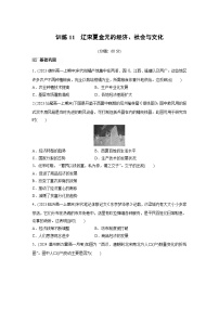 人教統(tǒng)編版(必修)中外歷史綱要(上)第11課 遼宋夏金元的經(jīng)濟與社會練習(xí)