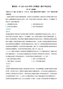 湖南省衡阳市衡阳县第一中学2024-2025学年高二上学期期中历史试卷（Word版附解析）