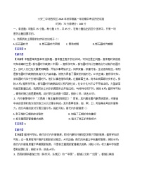 安徽省六安第二中学河西校区2024-2025学年高一上学期期中考试历史试题(解析版)