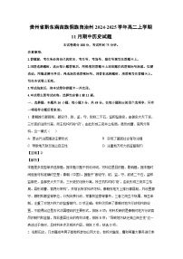 貴州省黔東南苗族侗族自治州2024-2025學年高二上學期11月期中 歷史試卷（解析版）