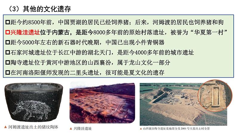 高考历史二轮专题复习课件:石器时代与农业发展第6页