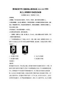 2024-2025學年青海省西寧市大通回族土族自治縣高三(上)期中考試歷史試卷（解析版）