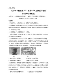遼寧省名校聯(lián)盟2024-2025學(xué)年高三上學(xué)期12月聯(lián)考考后強(qiáng)化歷史試卷