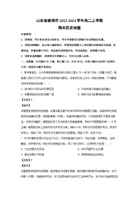 山东省威海市2023-2024学年高二上学期期末历史试卷（解析版）